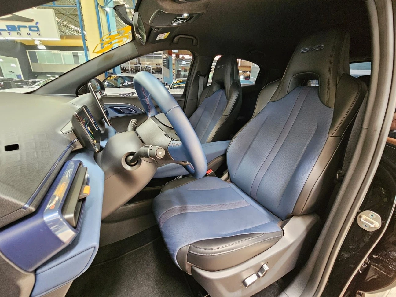 BYD DOLPHIN MINI