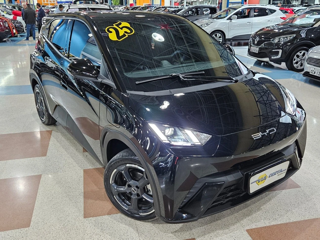 BYD DOLPHIN MINI