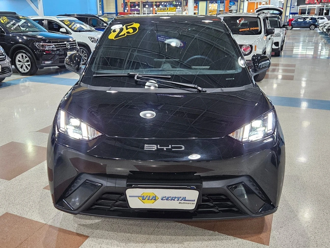 BYD DOLPHIN MINI
