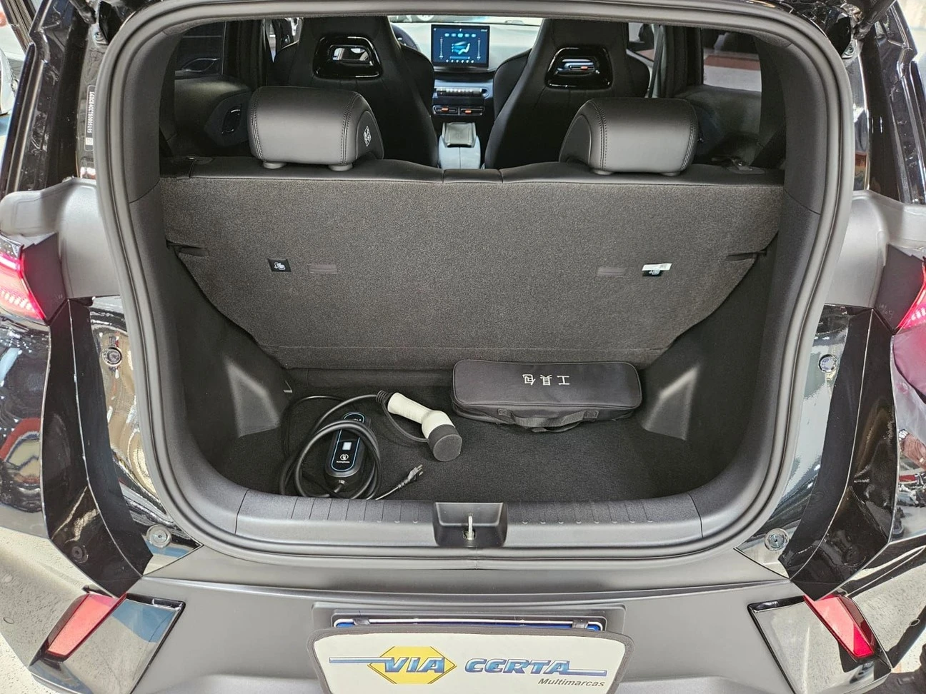 BYD DOLPHIN MINI