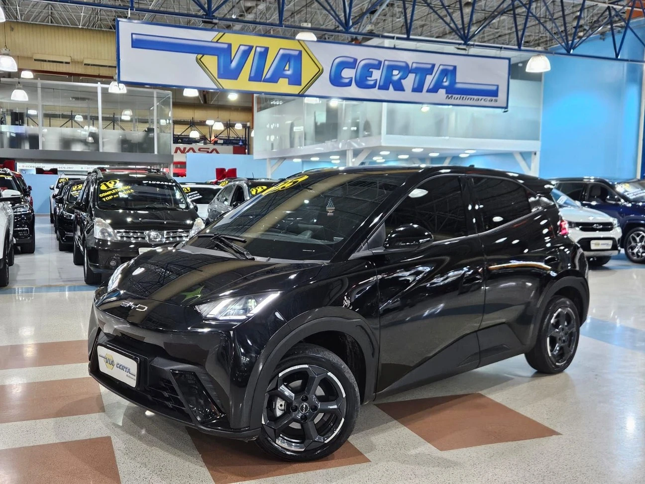 BYD DOLPHIN MINI