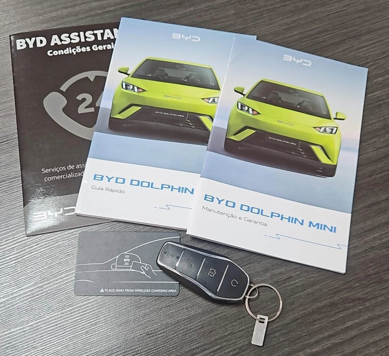 BYD DOLPHIN MINI