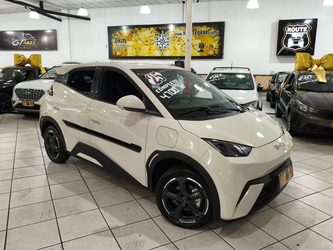 BYD DOLPHIN