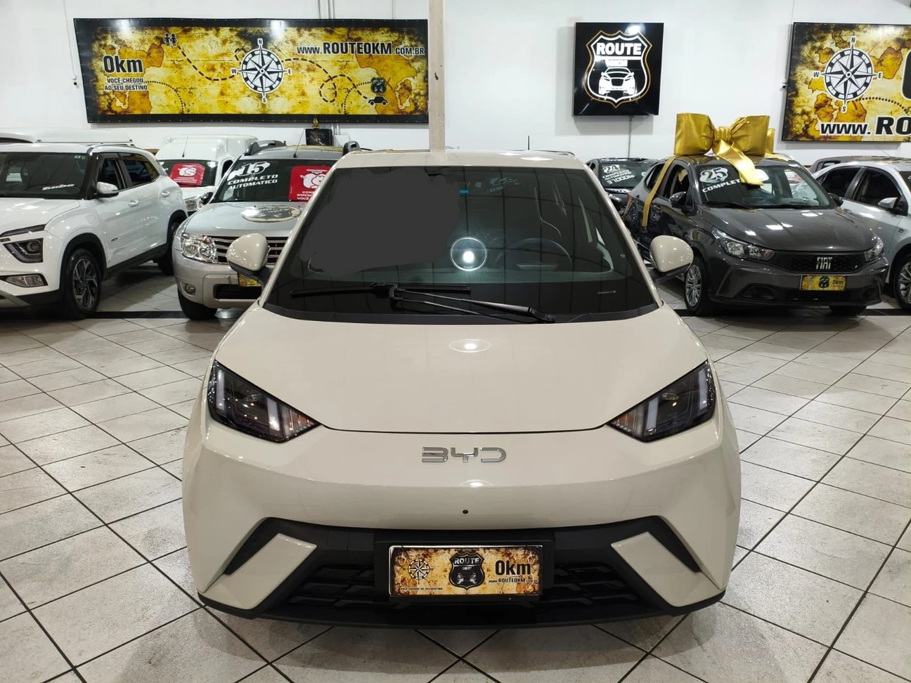 BYD DOLPHIN MINI