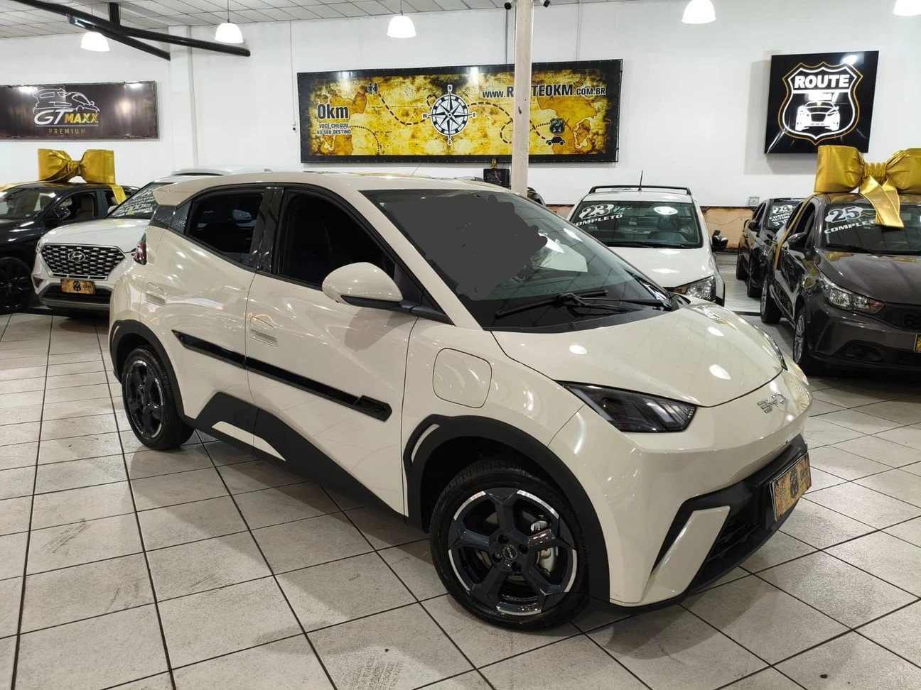 BYD DOLPHIN MINI