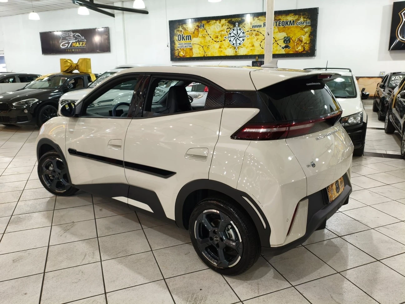 BYD DOLPHIN MINI