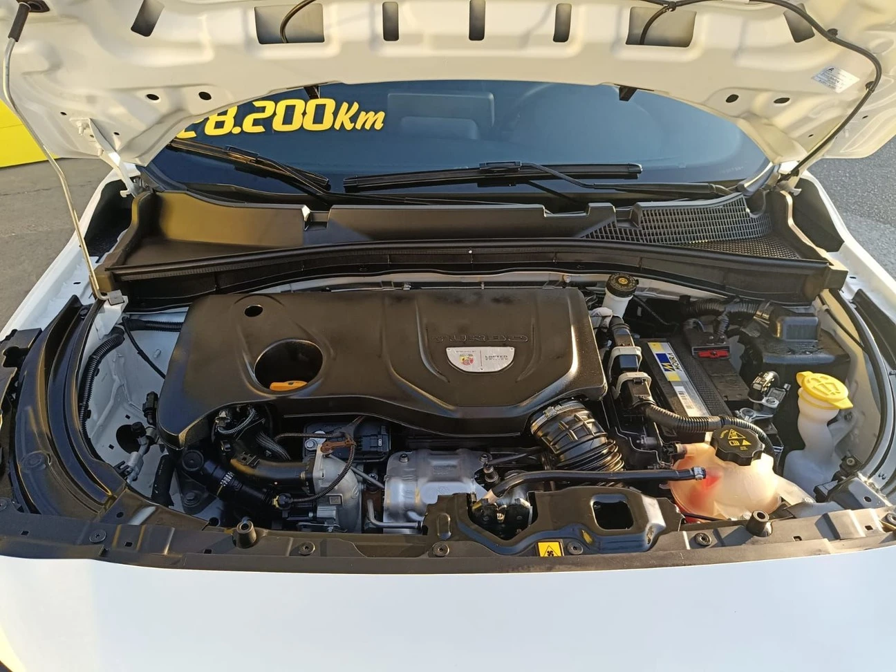 FIAT FASTBACK