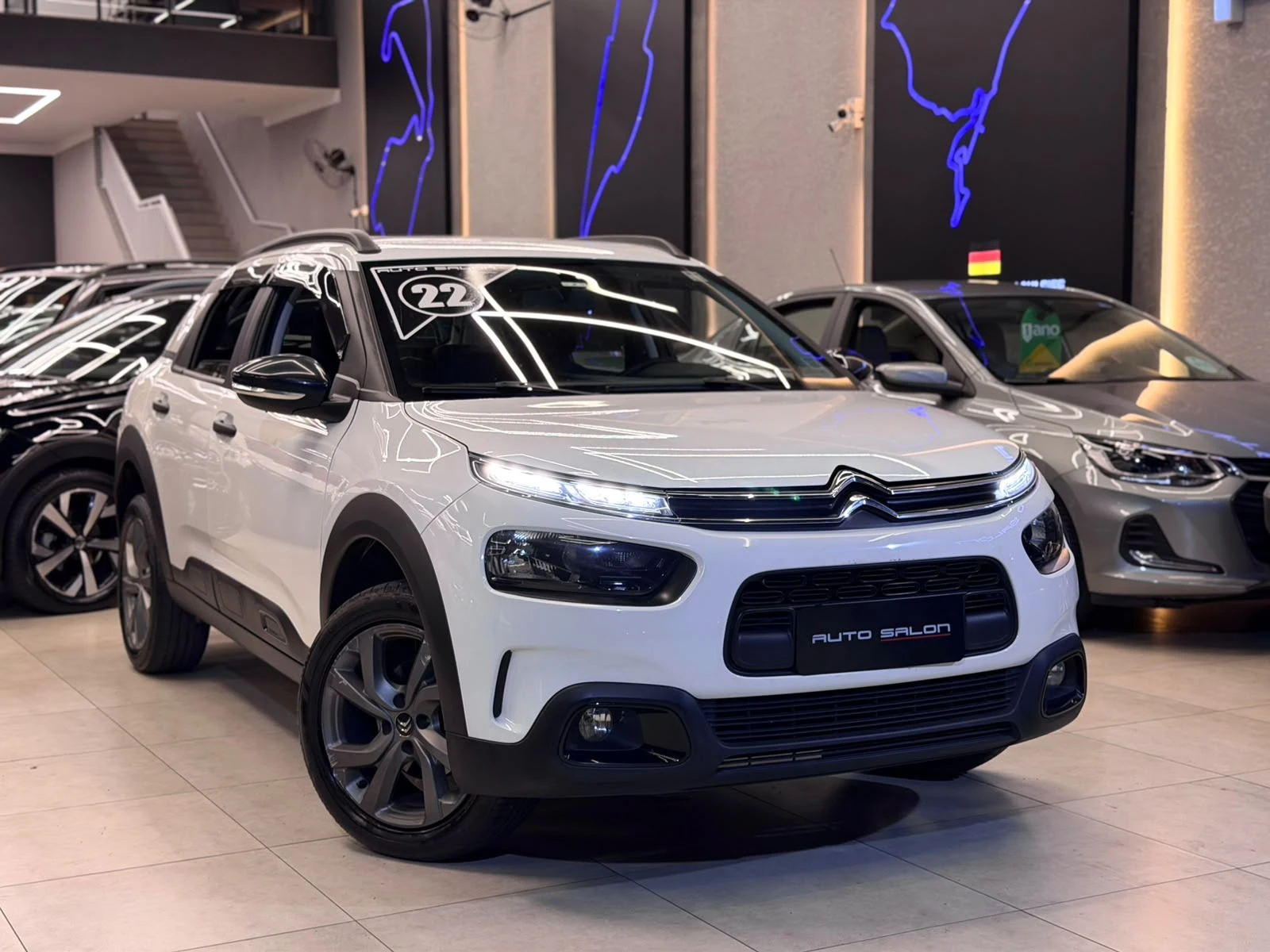 C4 CACTUS
