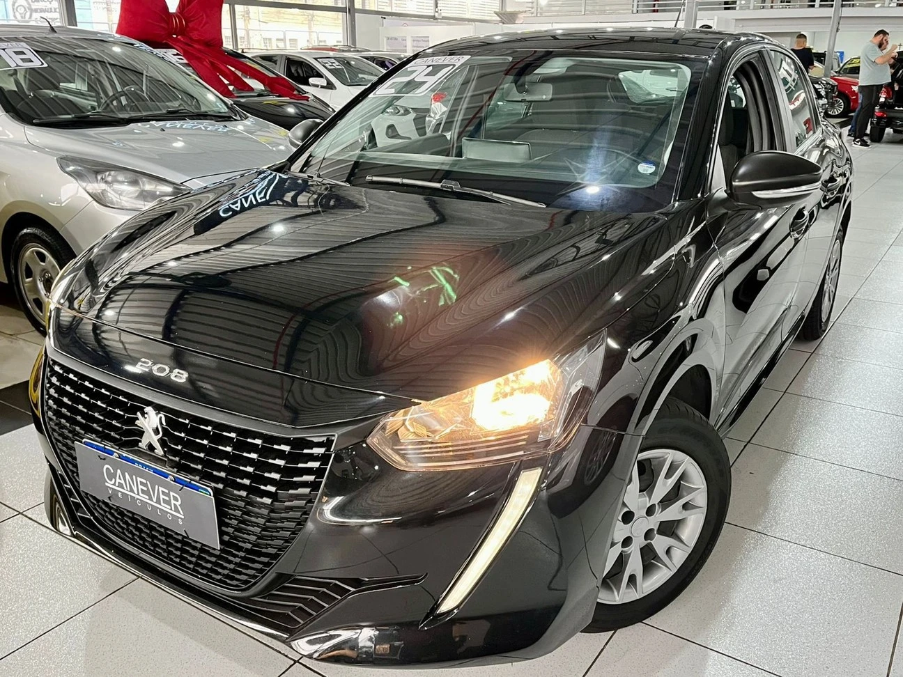 208 1.0 FIREFLY LIKE