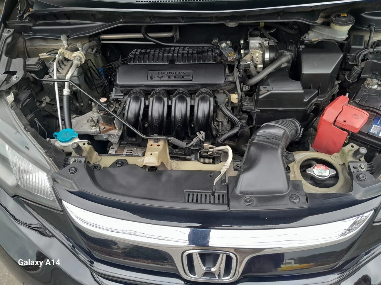 HONDA FIT
