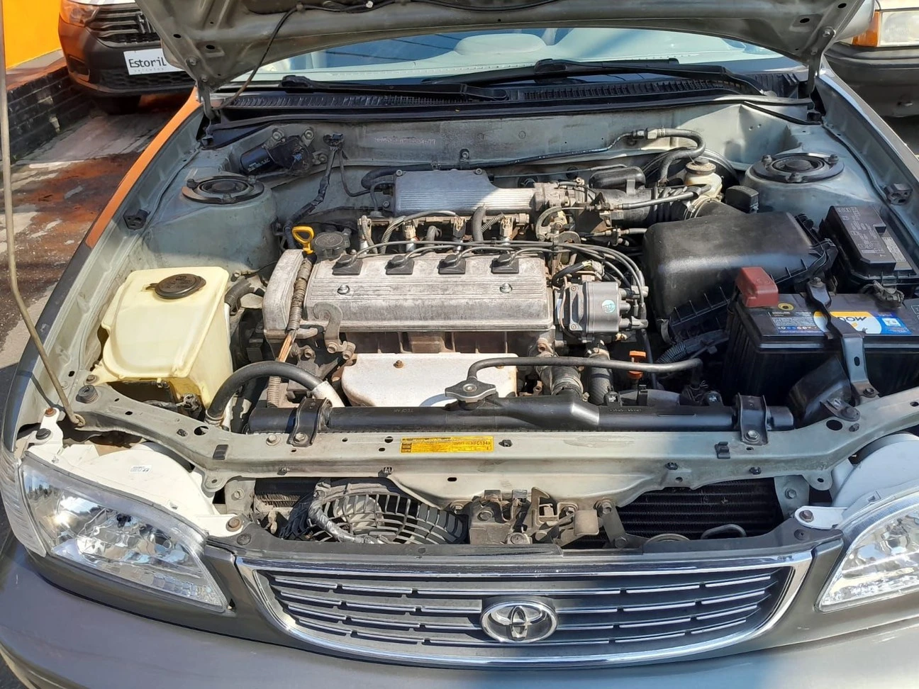 TOYOTA COROLLA