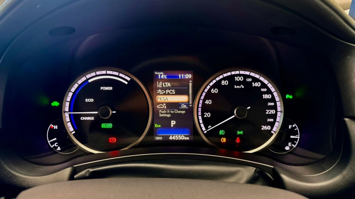 LEXUS NX 300h