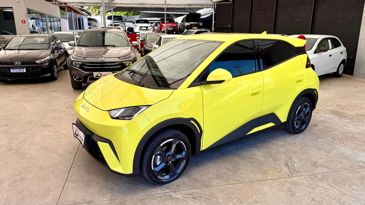 BYD DOLPHIN MINI