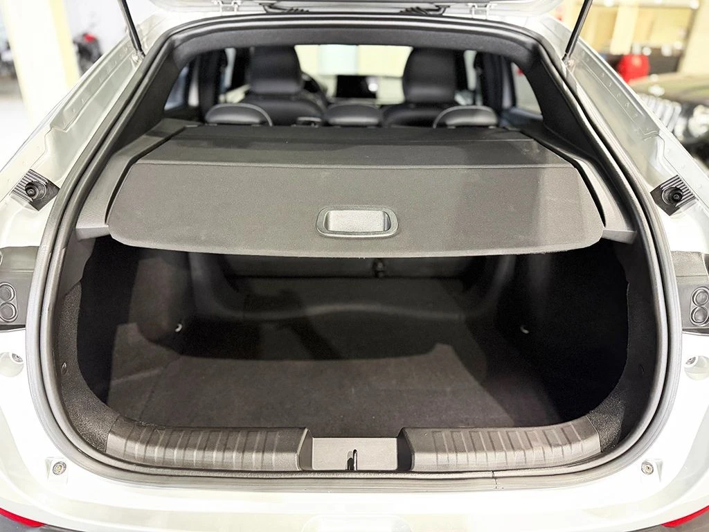 FIAT FASTBACK