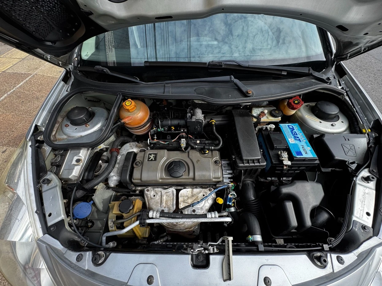 PEUGEOT 207