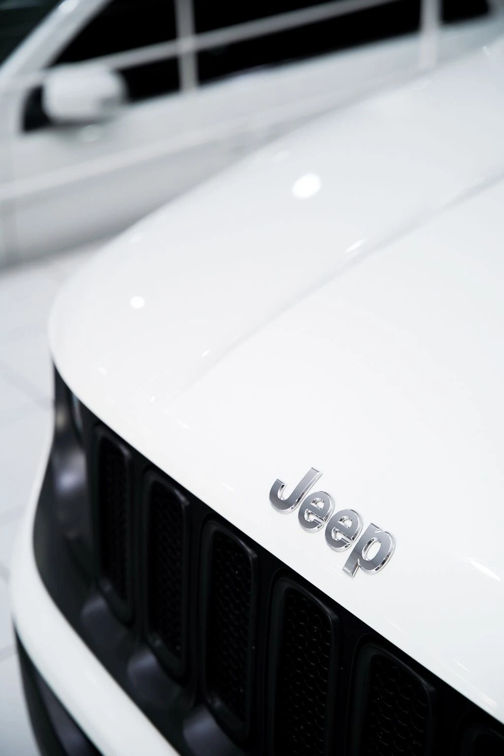 RENEGADE 1.8 16V SPORT