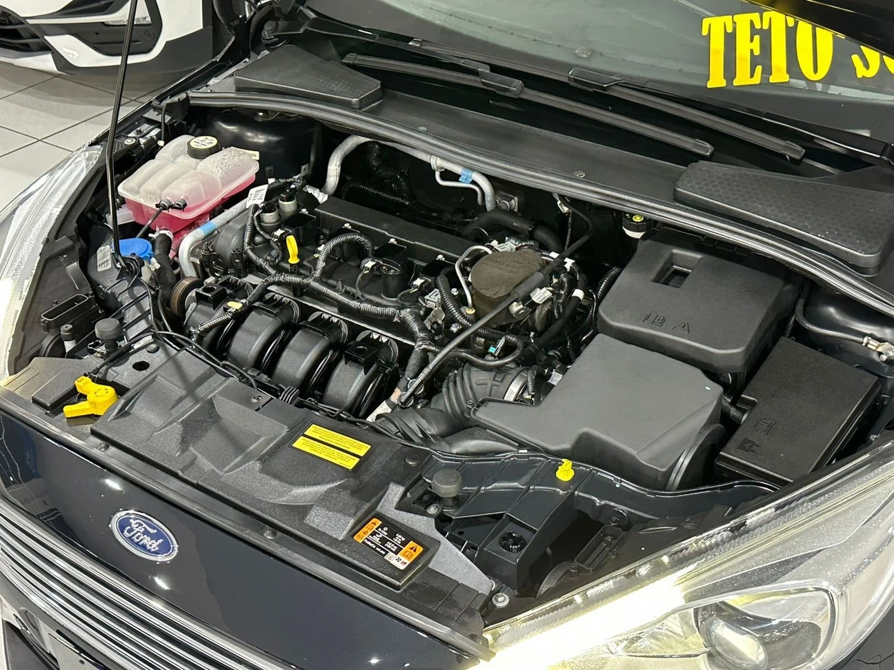 FOCUS 2.0 TITANIUM HATCH 16V