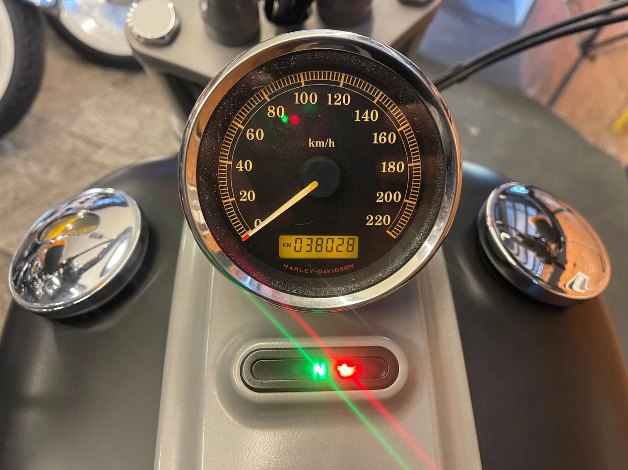 HARLEY-DAVIDSON SOFTAIL ROCKER