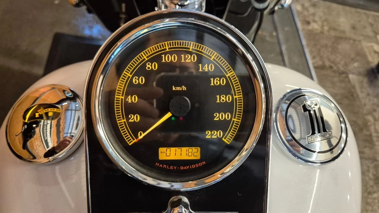 HARLEY-DAVIDSON SOFTAIL DELUXE