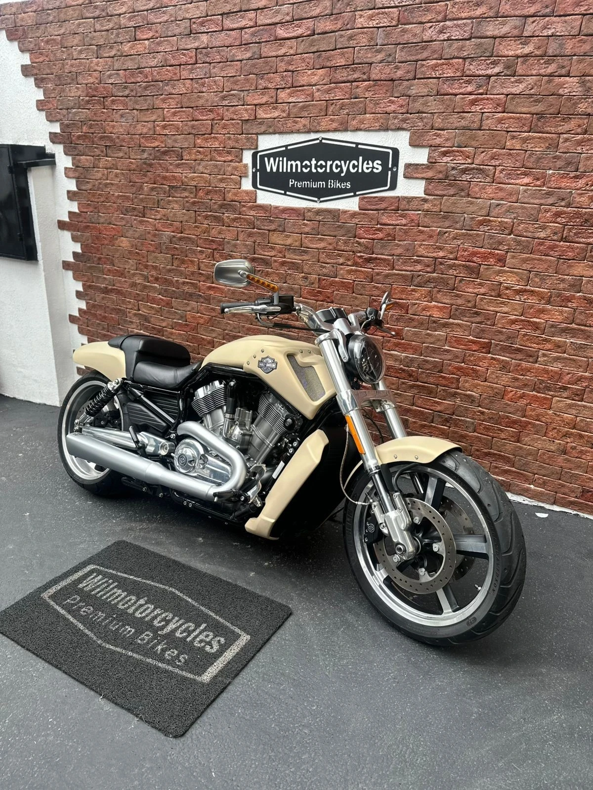 HARLEY-DAVIDSON V ROD MUSCLE