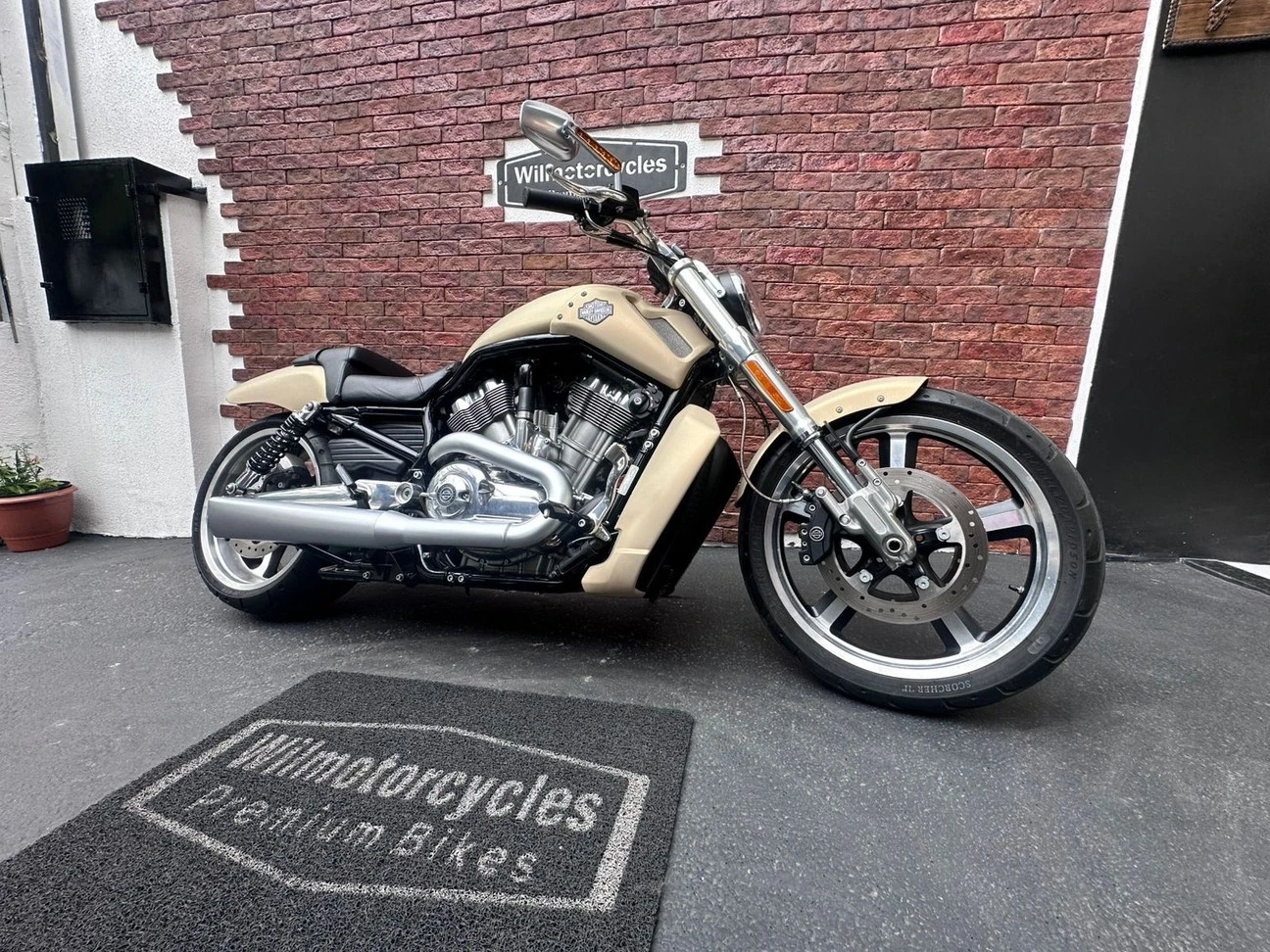 HARLEY-DAVIDSON V ROD MUSCLE