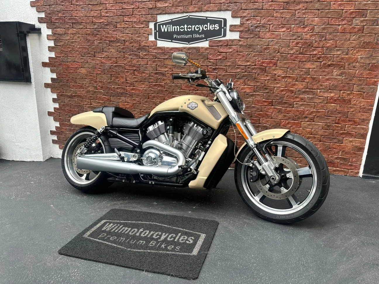 HARLEY-DAVIDSON V ROD MUSCLE
