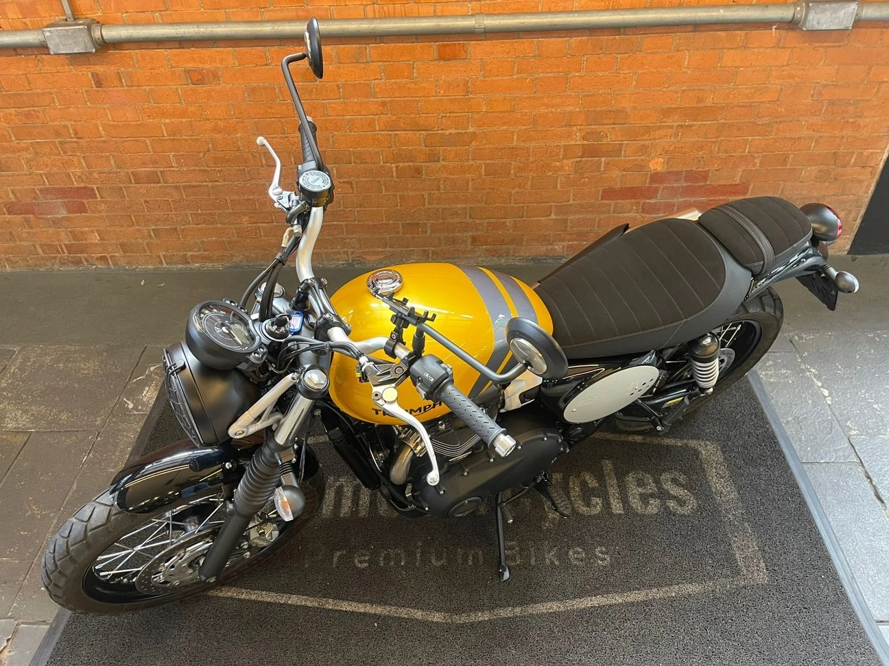 TRIUMPH SCRAMBLER 900