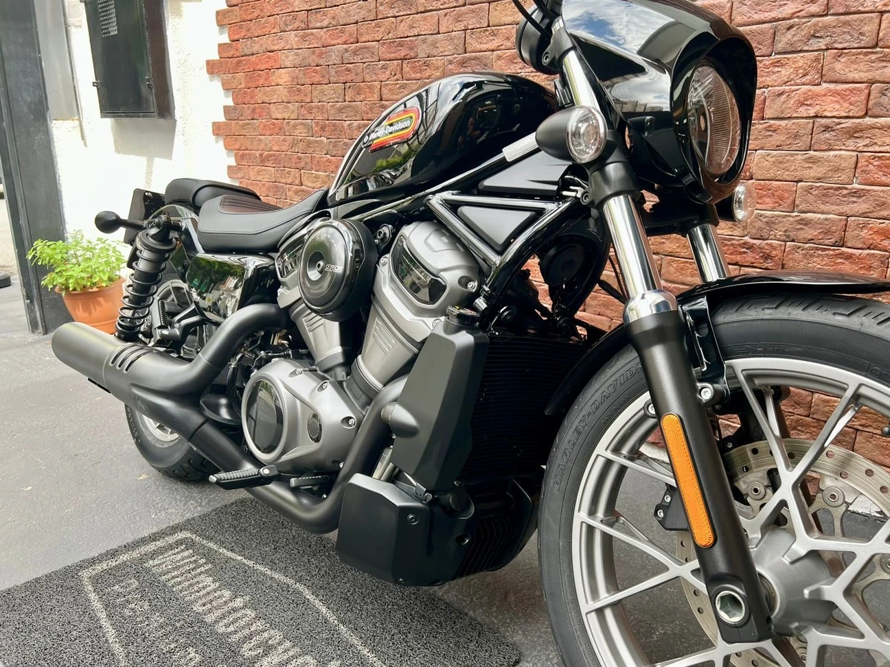 HARLEY-DAVIDSON NIGHTSTER SPECIAL