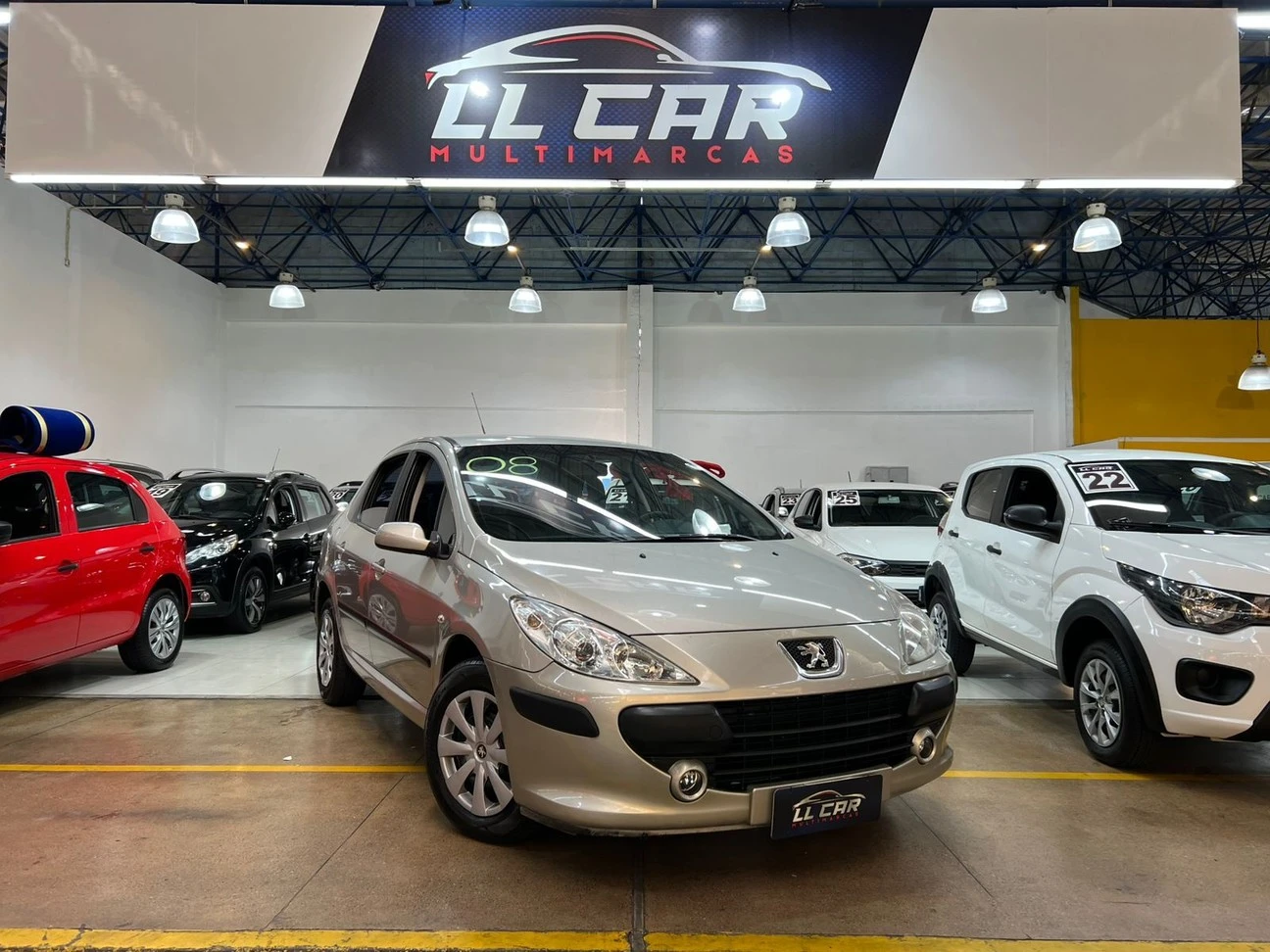 PEUGEOT 307