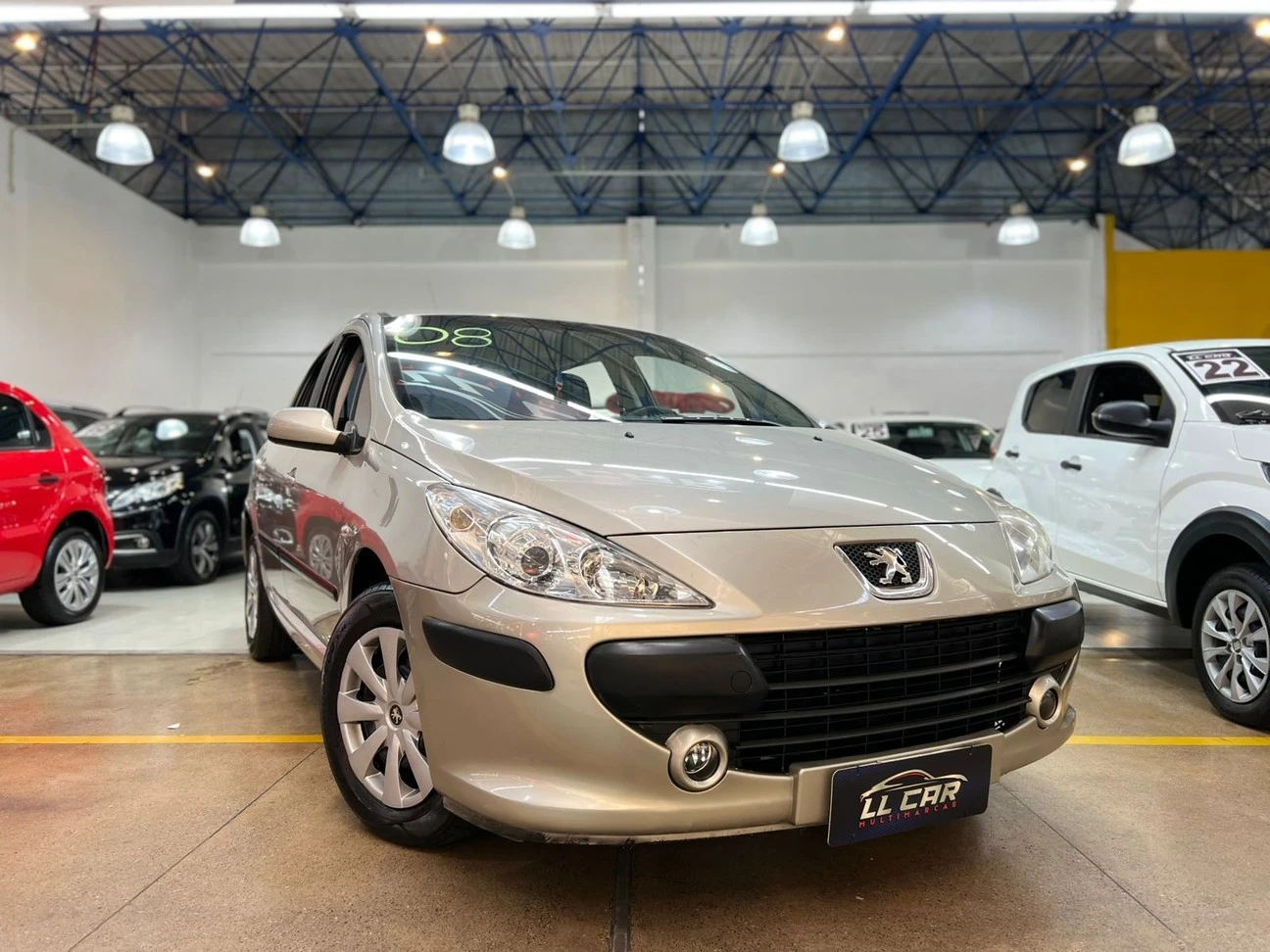 PEUGEOT 307