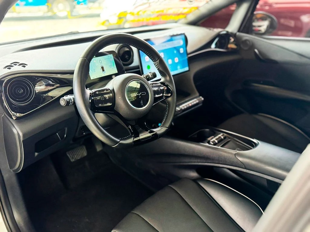 BYD DOLPHIN
