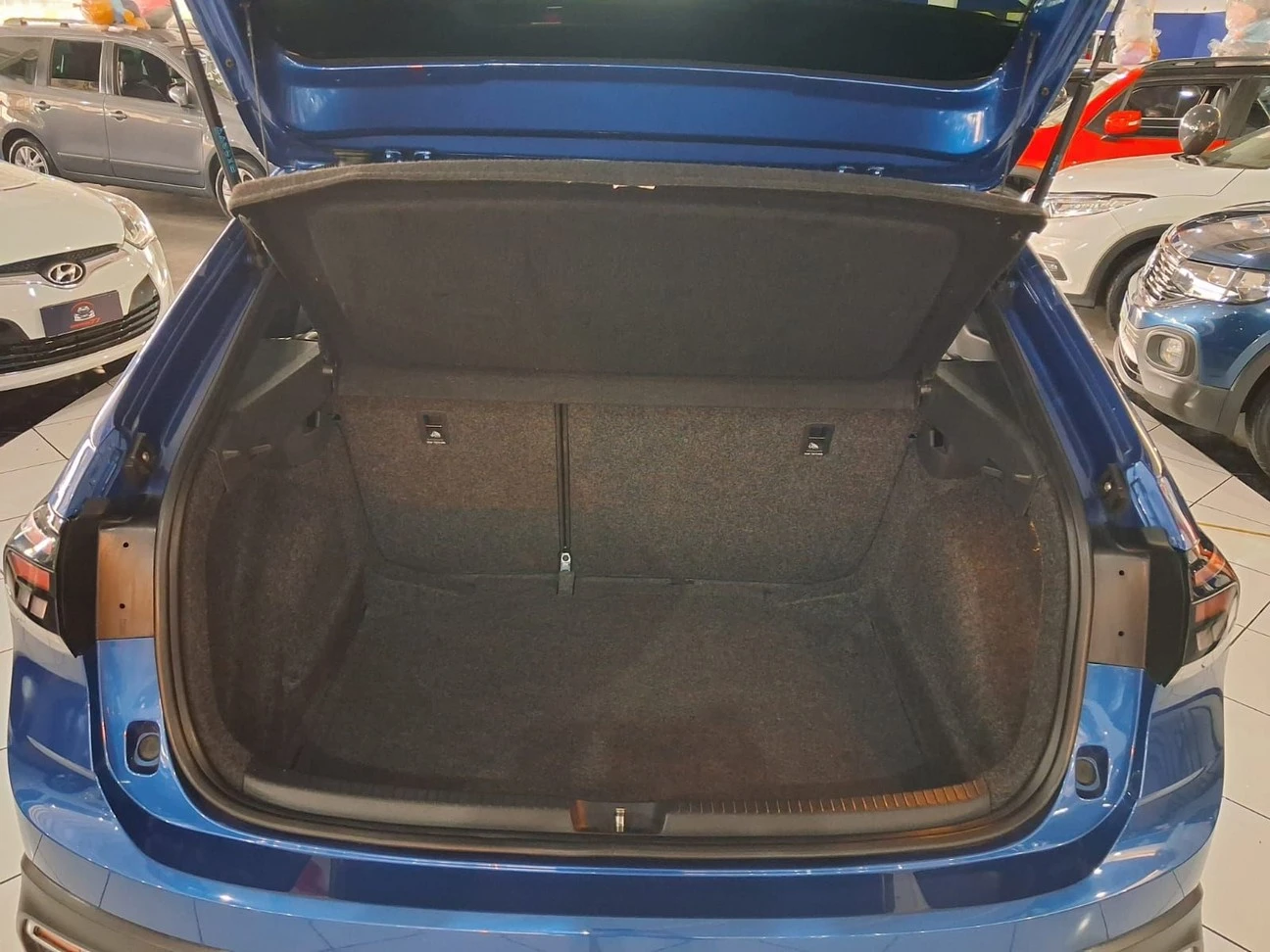 VOLKSWAGEN NIVUS