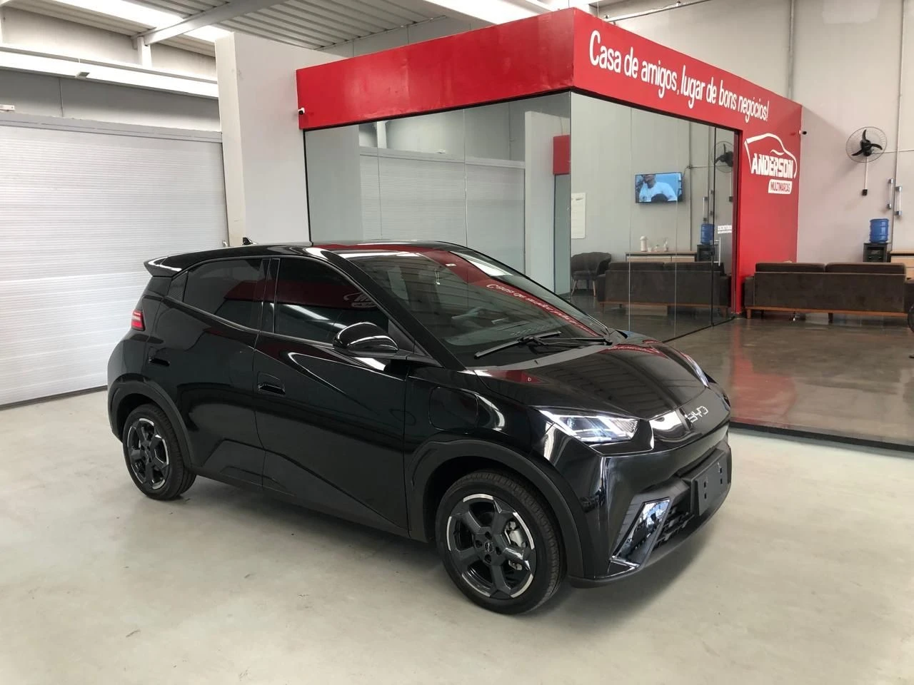 BYD DOLPHIN MINI