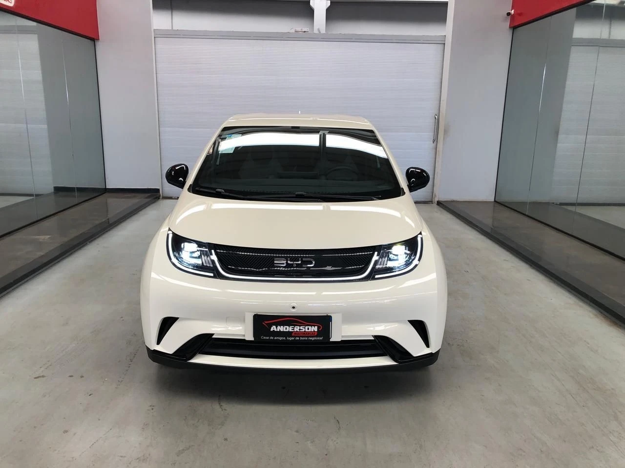 BYD DOLPHIN