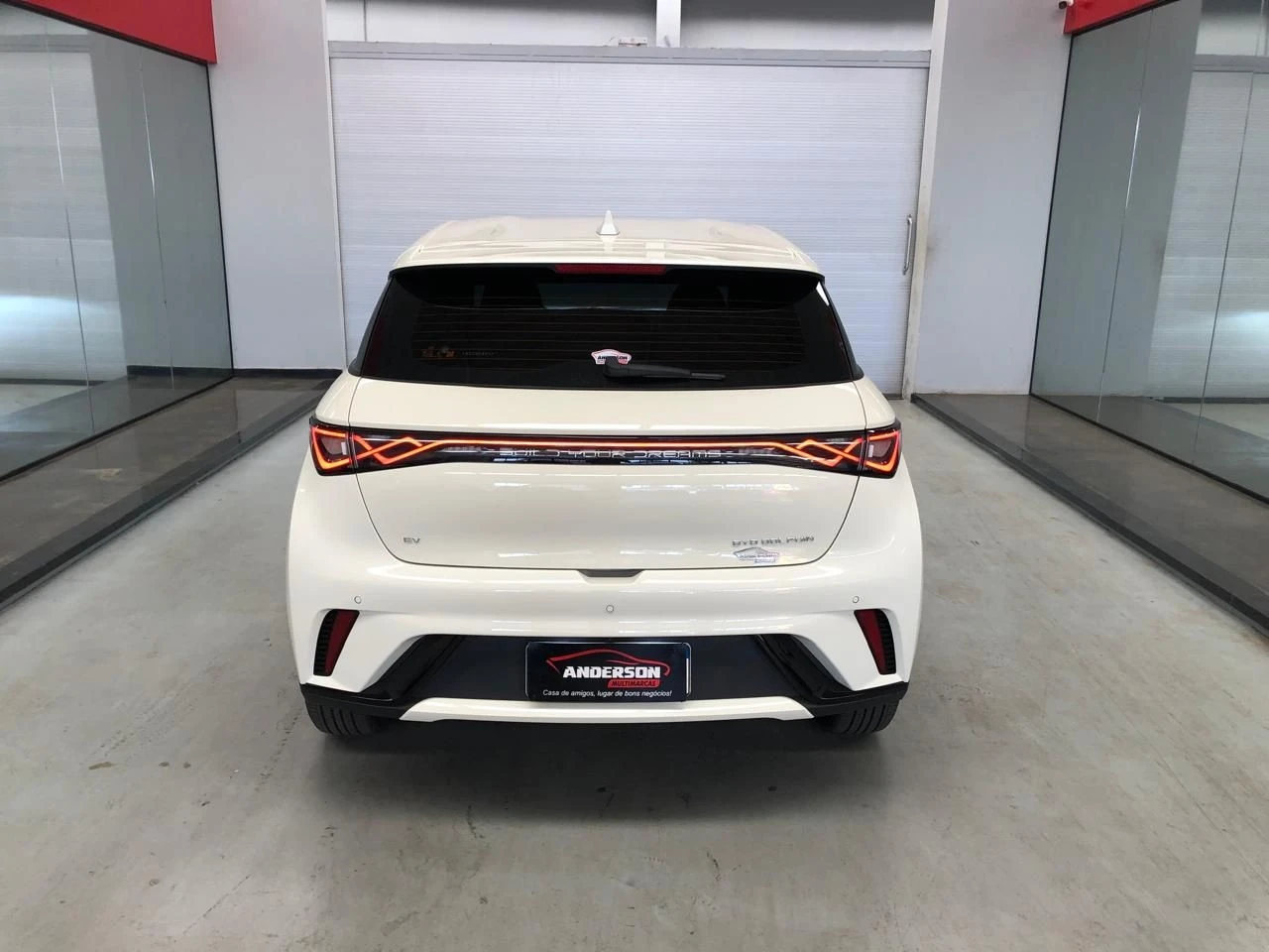 BYD DOLPHIN