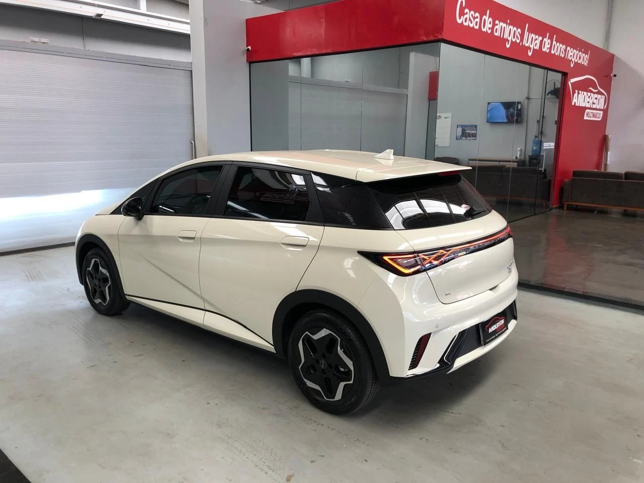 BYD DOLPHIN