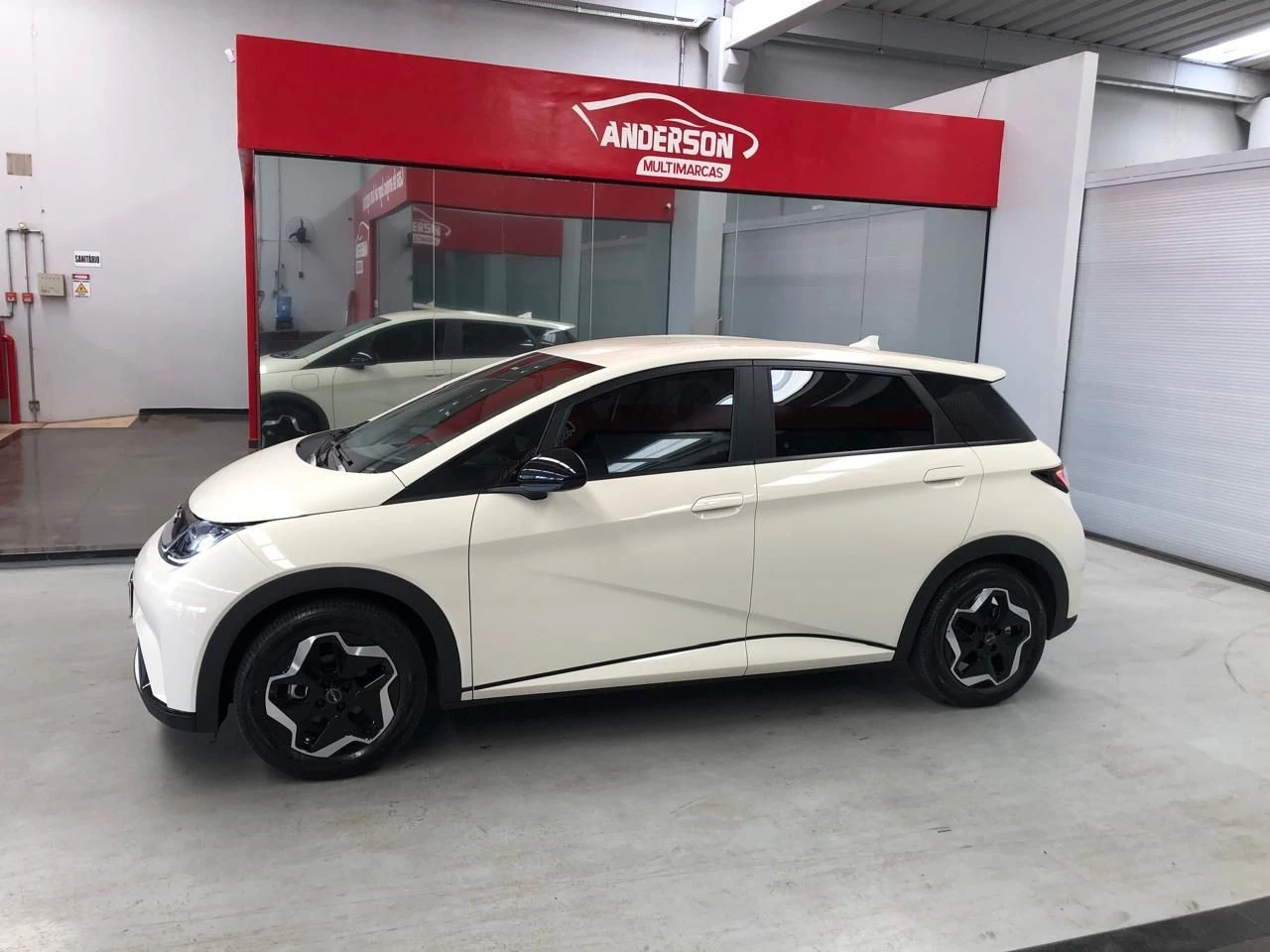 BYD DOLPHIN