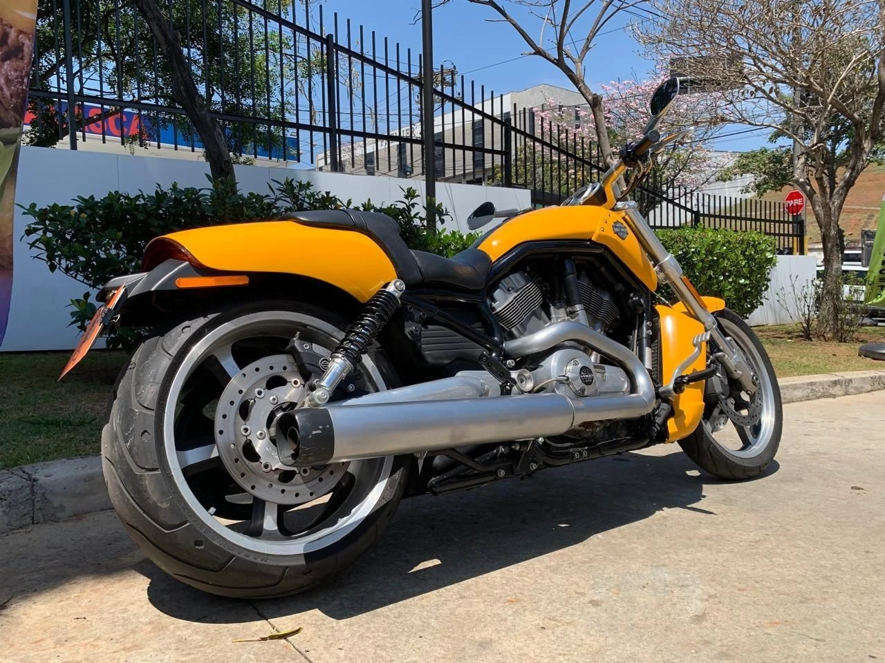 HARLEY-DAVIDSON V ROD MUSCLE