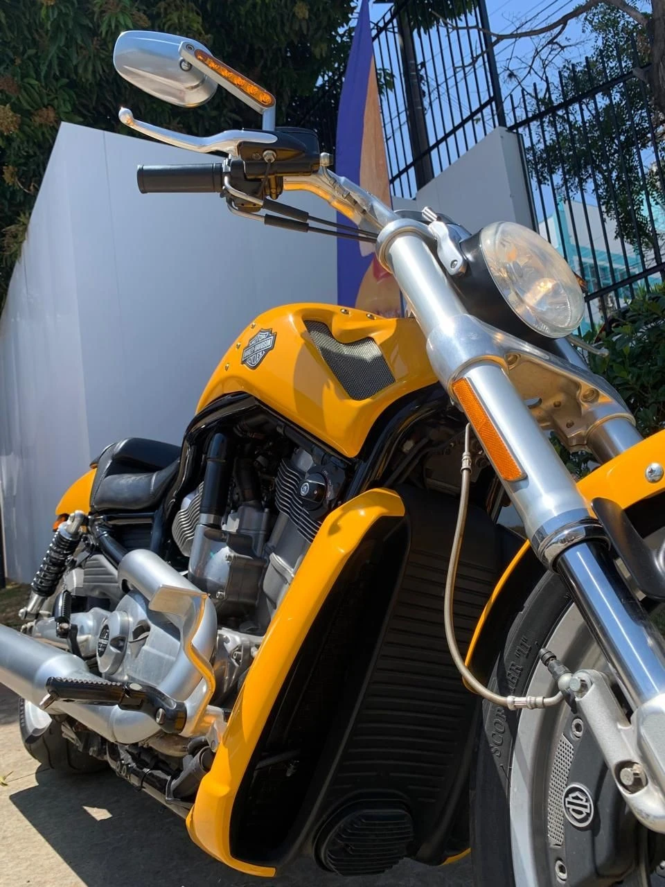 HARLEY-DAVIDSON V ROD MUSCLE