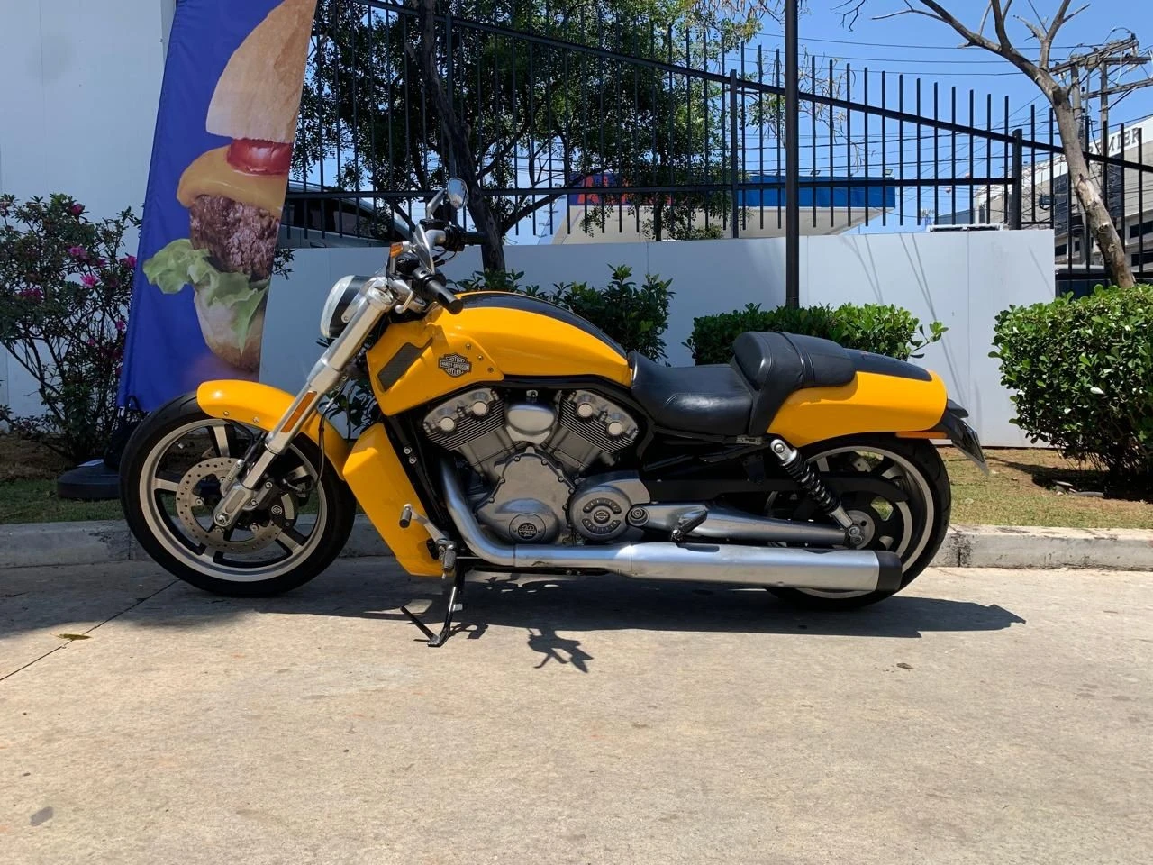 HARLEY-DAVIDSON V ROD MUSCLE