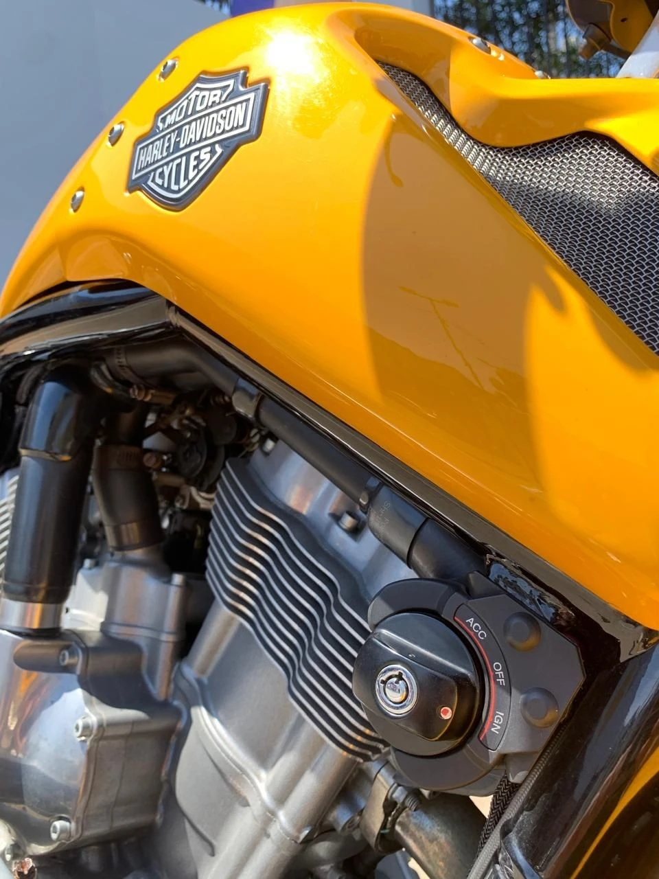 HARLEY-DAVIDSON V ROD MUSCLE