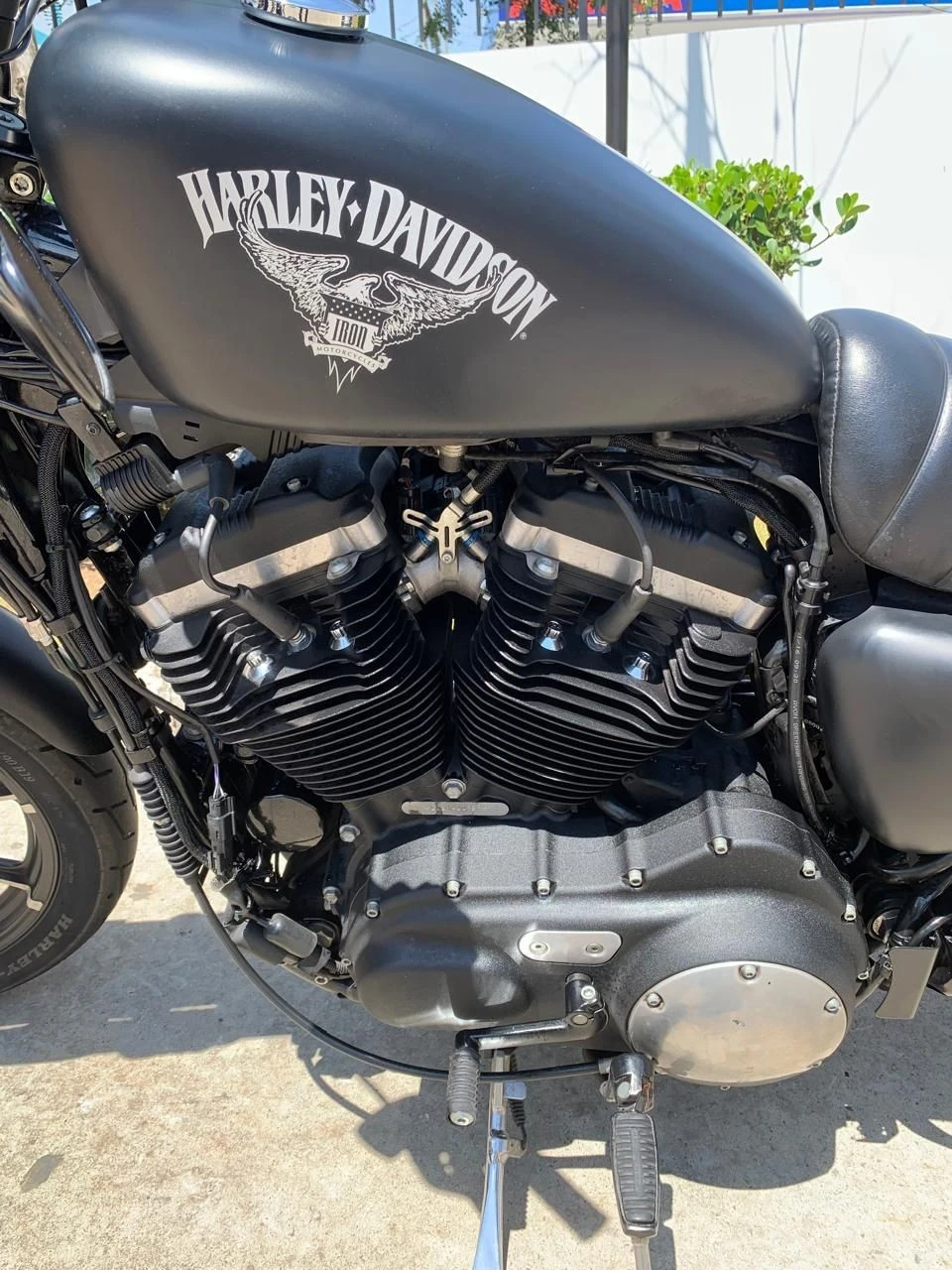 HARLEY-DAVIDSON SPORTSTER IRON 883