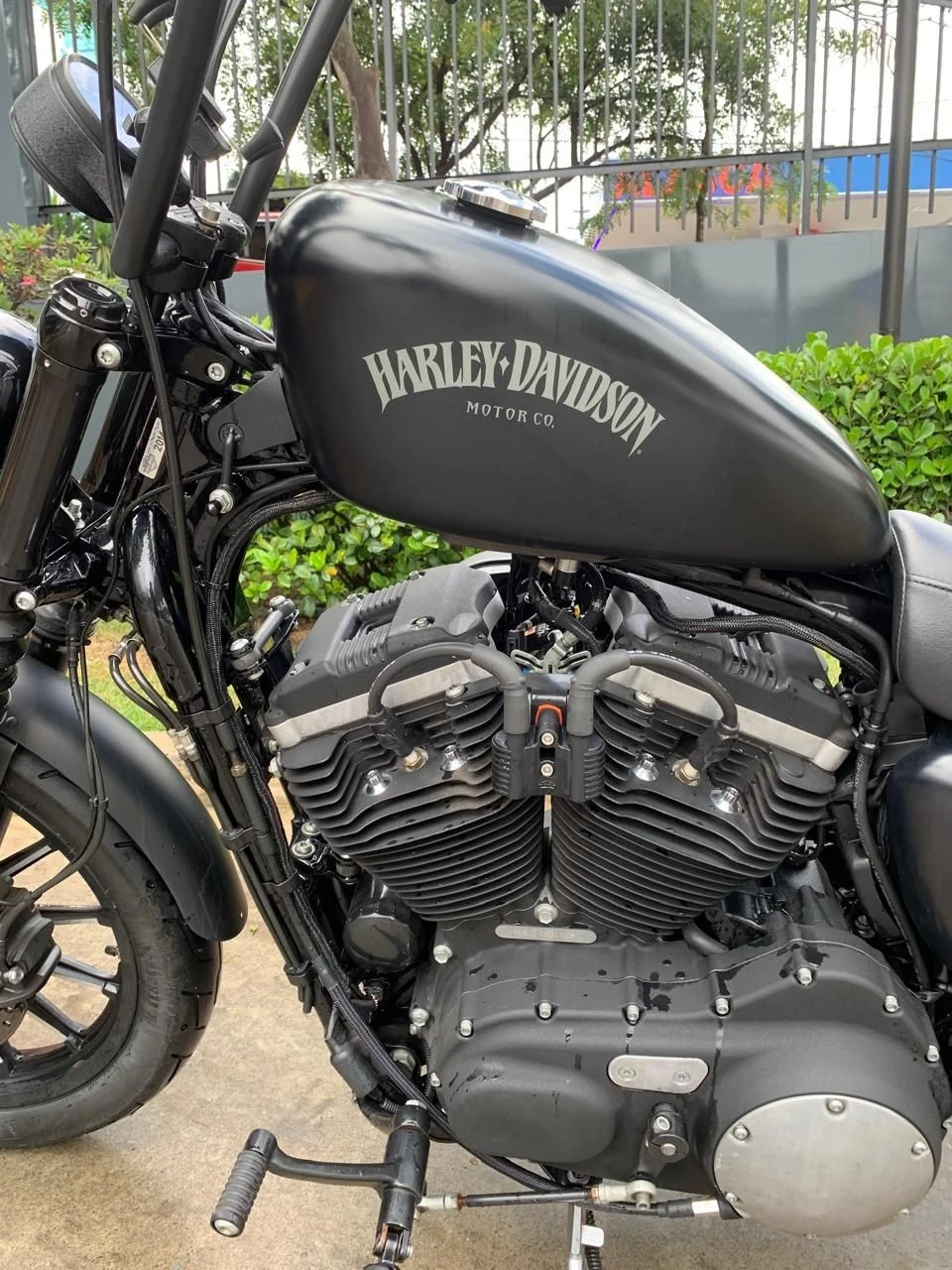 HARLEY-DAVIDSON SPORTSTER XL 883 N IRON