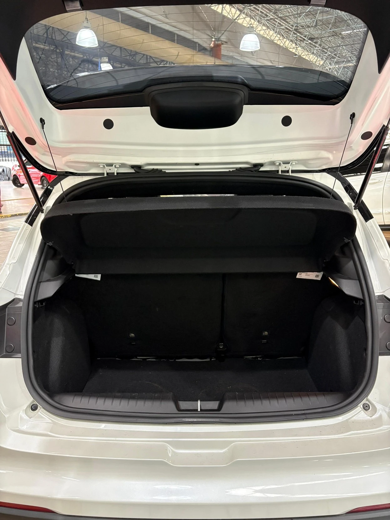 FIAT PULSE