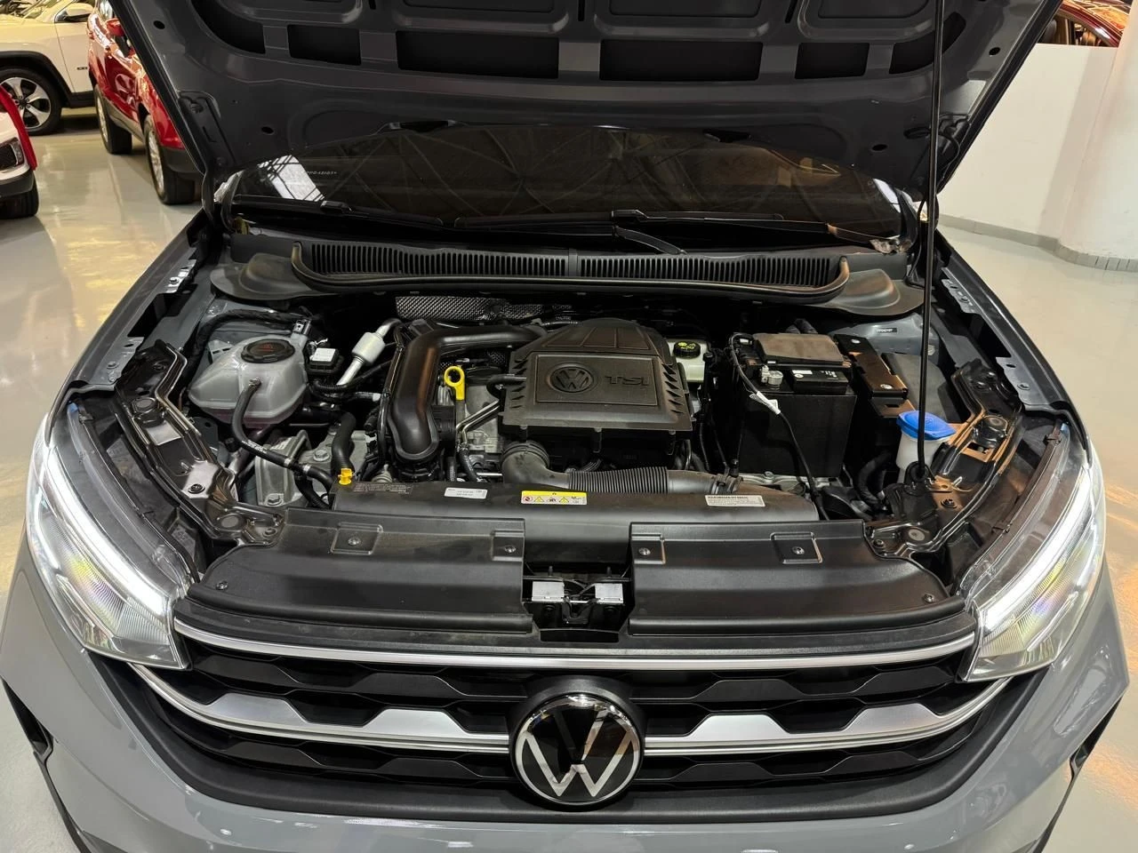 VOLKSWAGEN NIVUS