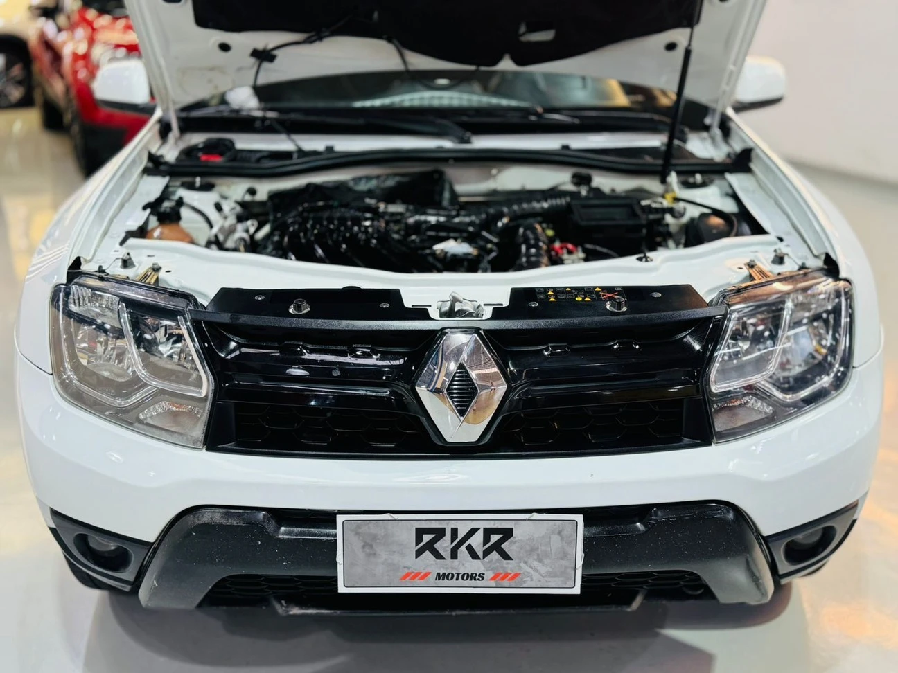 RENAULT DUSTER