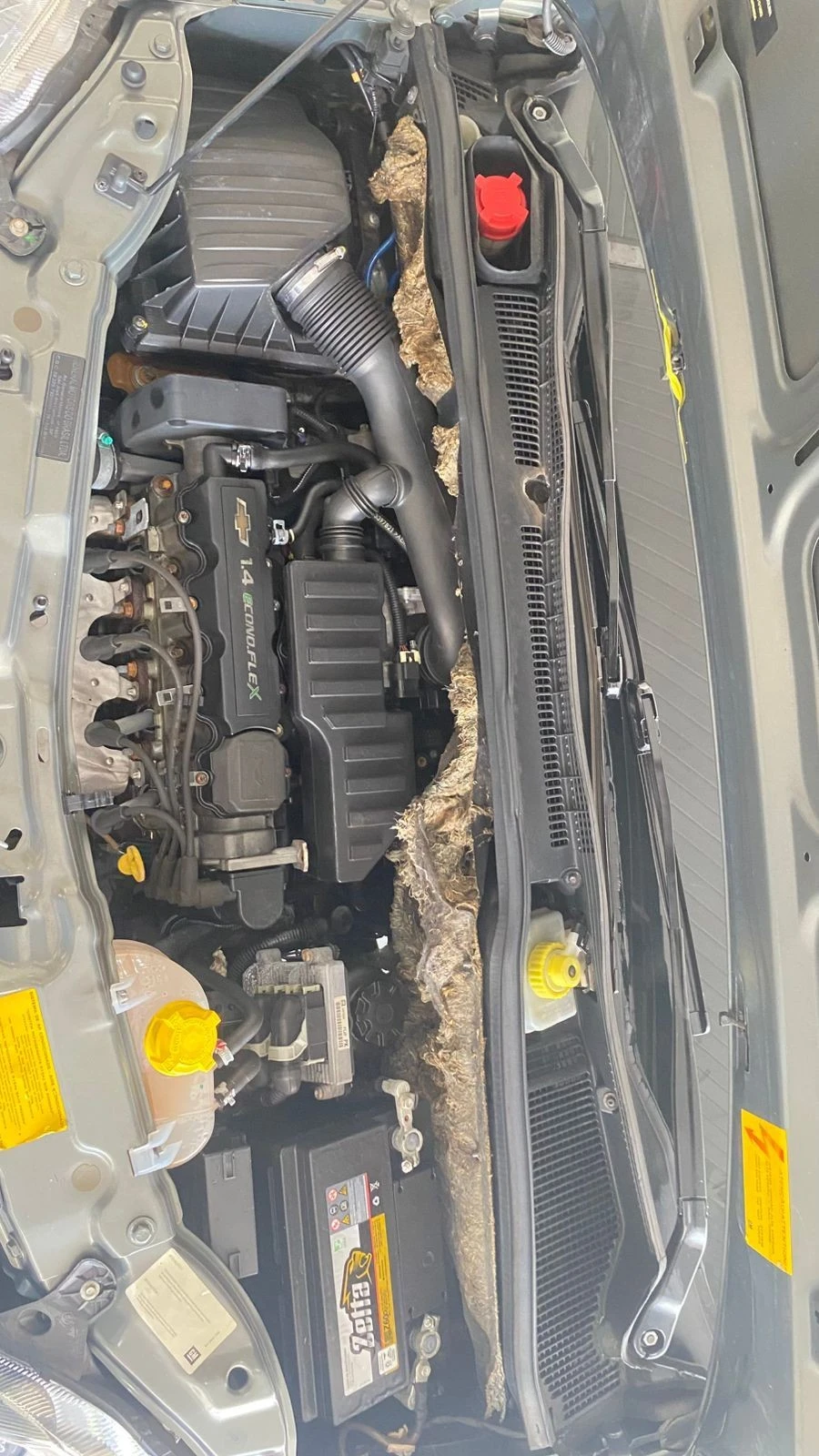 CHEVROLET MERIVA