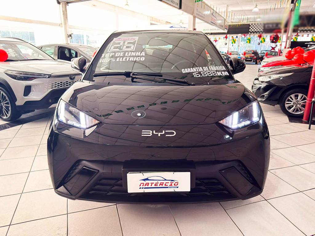 BYD DOLPHIN MINI