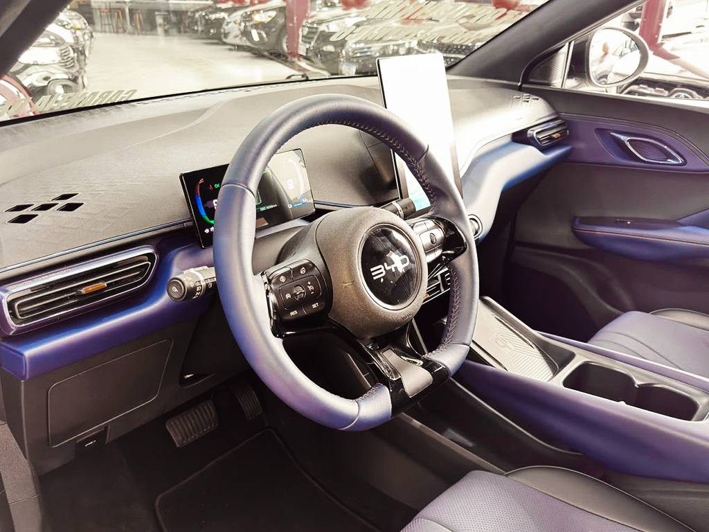 BYD DOLPHIN MINI