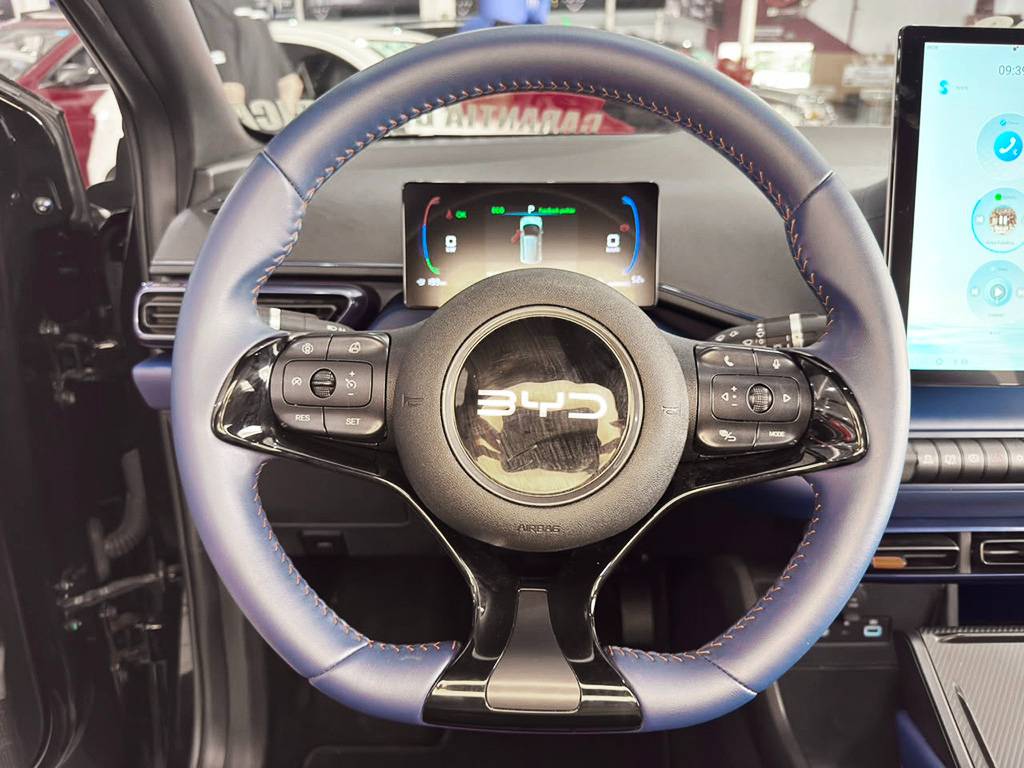 BYD DOLPHIN MINI